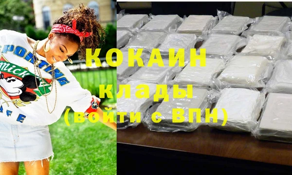 индика Армянск
