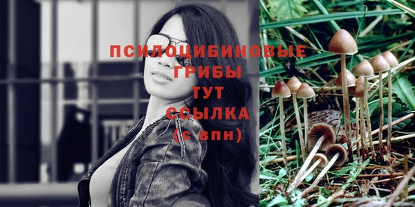 кокс Аркадак