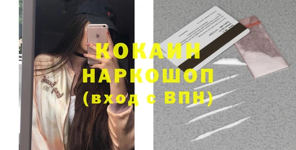 индика Армянск